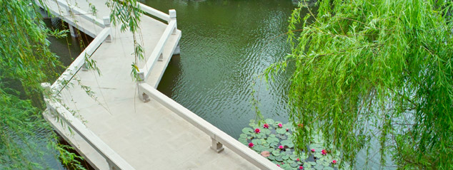 Zig-zag bridge in Chinese garden